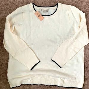 Loft Spring/Fall sweater